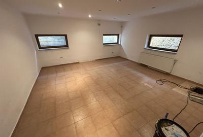 Proprietate cu piscina Dumbravita - 40