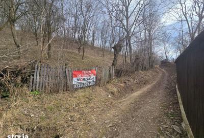 Teren de 3485 mp, în Cerașu - 7