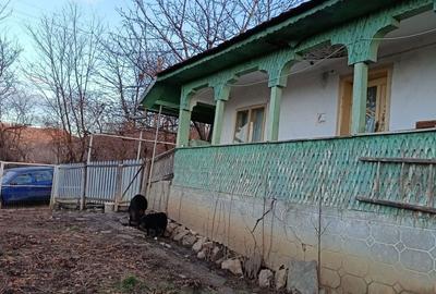 Casă cu 4 camere în Nucșoara de Jos - 7