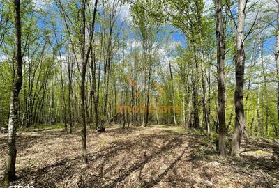 Spațiu comercial, în Bălnaca - 8