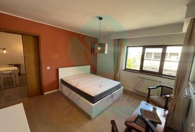 Apartament cu 3 camere semidecomandat, mobilat în Calea Călărașilor - 3