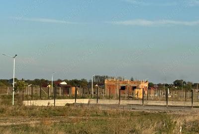 Teren de 600 mp, în Frumușani - 10