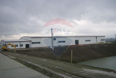 Proprietate industriala de vanzare - 102.420 mp - loc. Zauan jud.Salaj - 5