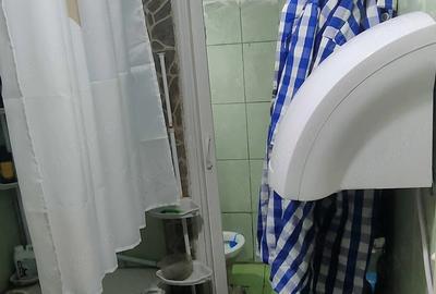 Apartament cu 2 camere semidecomandat în Iosefin - 10