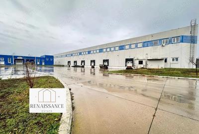 Hala Moderna 6200mp | Panouri Solare - Freidorf - Acces la Centura - 3