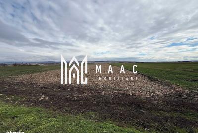 Teren de 9600 mp, în Central - 5