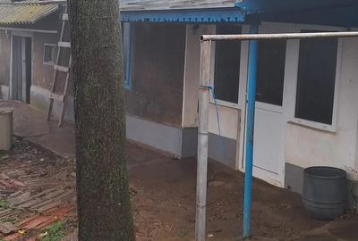 Vand casa la tara - 2