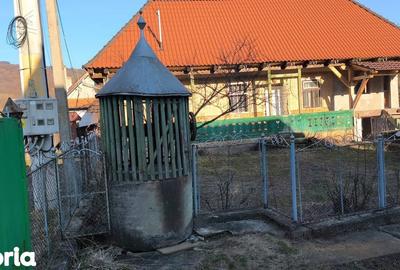 Casă cu 4 camere cu Teren 1300 Mp în Măgherani - 4