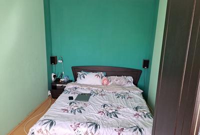 Apartament cu 2 camere semidecomandat în Dâmbu Pietros - 3