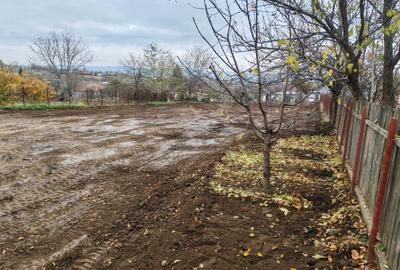 Teren de 1021 mp, în Ciurbești - 5
