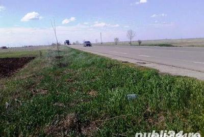 Teren de 2500 mp, în Ghimpați - 3