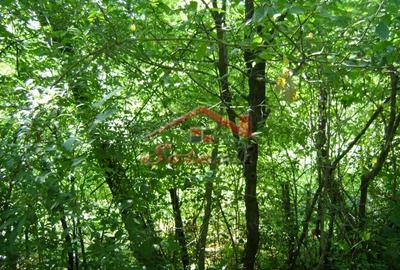 Teren de 2276 mp, în Vest - 3