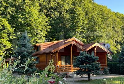 Cabana moderna in Campul Cetatii - confort si natura in acelasi loc - 6