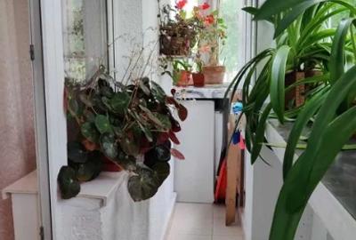 Nerva Traian metrou Timpuri Noi, bl.1993 reabilitat,ETAJ 1/8,CENTRALA,decomandat - 5