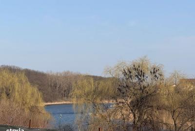 Spațiu comercial, în Moara Vlăsiei - 2