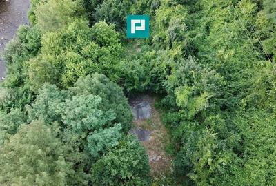 Teren Intravilan, in ora?ul Sebi?, Arad - 20