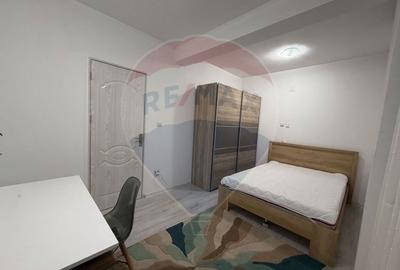 Apartament cu 3 camere de închiriat în zona Valea Rosie - 8