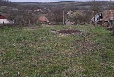 Teren de 1740 mp, în Feldioara - 3