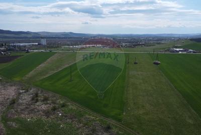 Teren Construcții extravilan de 8600 mp, în Luna de Jos - 19