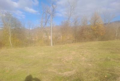 Vând teren 3 euro mp MEHADIA - 5