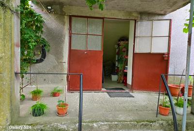 Apartament cu 2 camere decomandat în Remetea Mare - 13