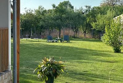 Casă cu Teren 1209 Mp în Bucovăț (Remetea Mare) - 2