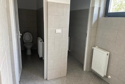 Proprietate specială, de 450 mp, în Ciolpani - 7