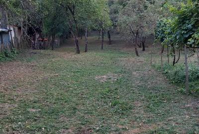 Casă cu Teren 2500 Mp în Central - 5