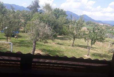 Zona Dumbravei, casa 10ari teren - 5