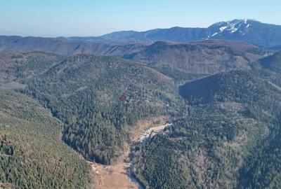 Teren intravilan - 17