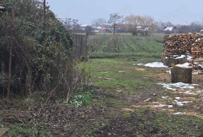 Vand casa veche la ?ara,cu teren aferent,la 5km de sta?iunea balneara Ta?nad! - 3