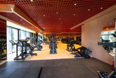 Cortina North - Porsche Pipera 2 camere complet mobilat lux - 15