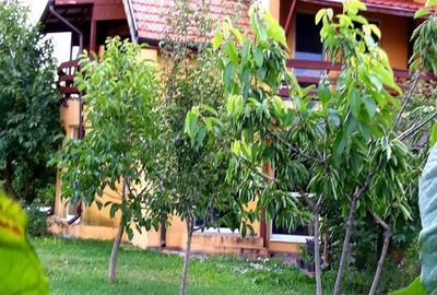 Loturi de teren pentru constructii de case in Paradise Valey - 14