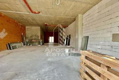 Spatiu comercial, 119 mp utili, zona Take Ionescu - 1