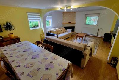 Casa de Vacanta - Cheile Dambovicioarei - 2