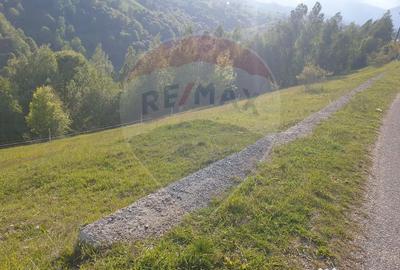 Teren de 2000 mp, în Peștera - 6