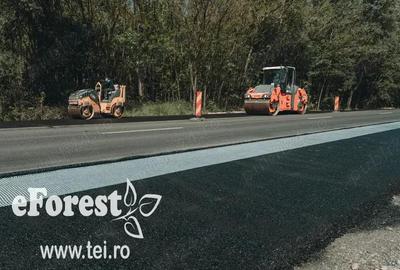 EForest teren rezidential in zona de padure, deschidere spre padure - 1