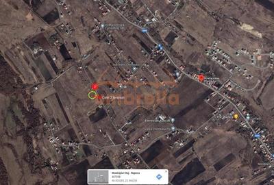 Teren de vanzare Valea Chintaului ! - 2