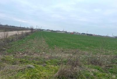 Teren de 17000 mp, în Gostilele - 1