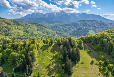 Teren intravilan cu potential turistic si de agrement, zona Trei Brazi - 9