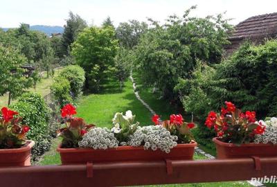 Casă cu 5 camere cu Teren 1124 Mp în Recaș - 12