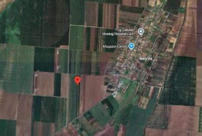 Teren extravilan cota parte 3/16, Schela, ID: R2749476 - 7