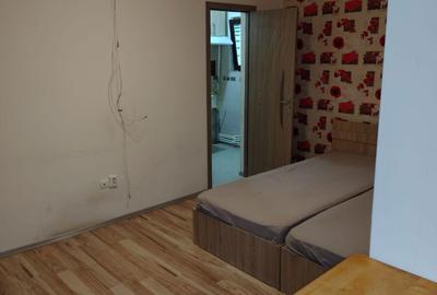 Garsonieră semidecomandată în Vișina - 4