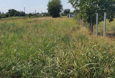 Teren Construcții intravilan de 1000 mp, în Vârteju - 5