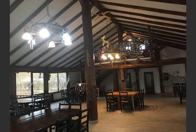 Pensiune cu lac privat și piscină - afacere la cheie în Neamț - 3