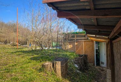 Proprietate specială, de 175 mp, în Inoc - 16