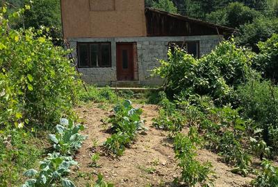 Inchiriez casa ora? Nehoiu lunca mare strada Tudor Mu?atescu - 4