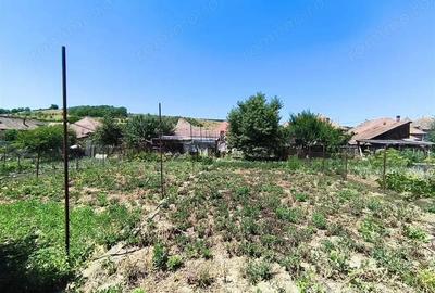 Casa pe un nivel renovata,curte individuala teren 780mp - 3