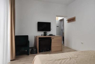 Garsoniera tip Aparthotel Afacere la cheie, Baile Felix, Bihor - 11