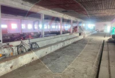 Spațiu industrial, de 1,000 mp, în Șofronea - 1